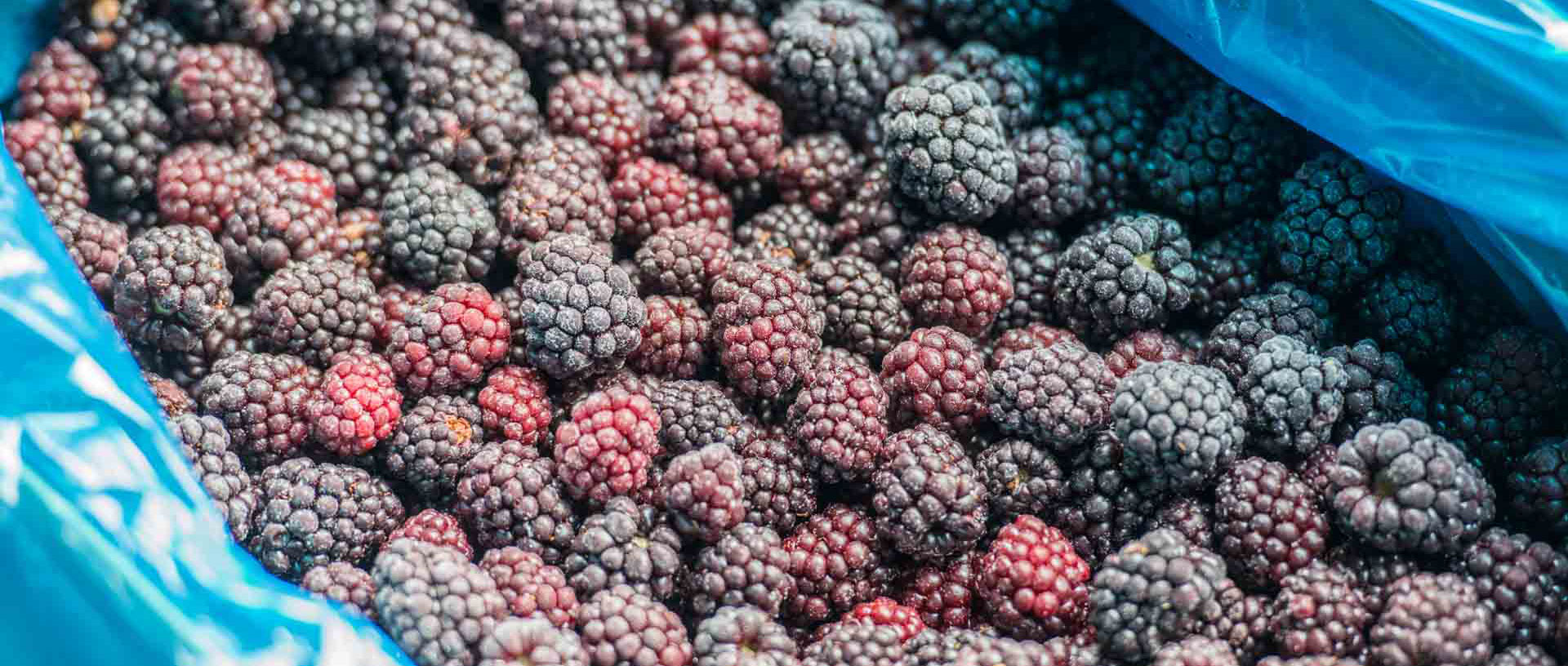 Owoce mrożone pakowane