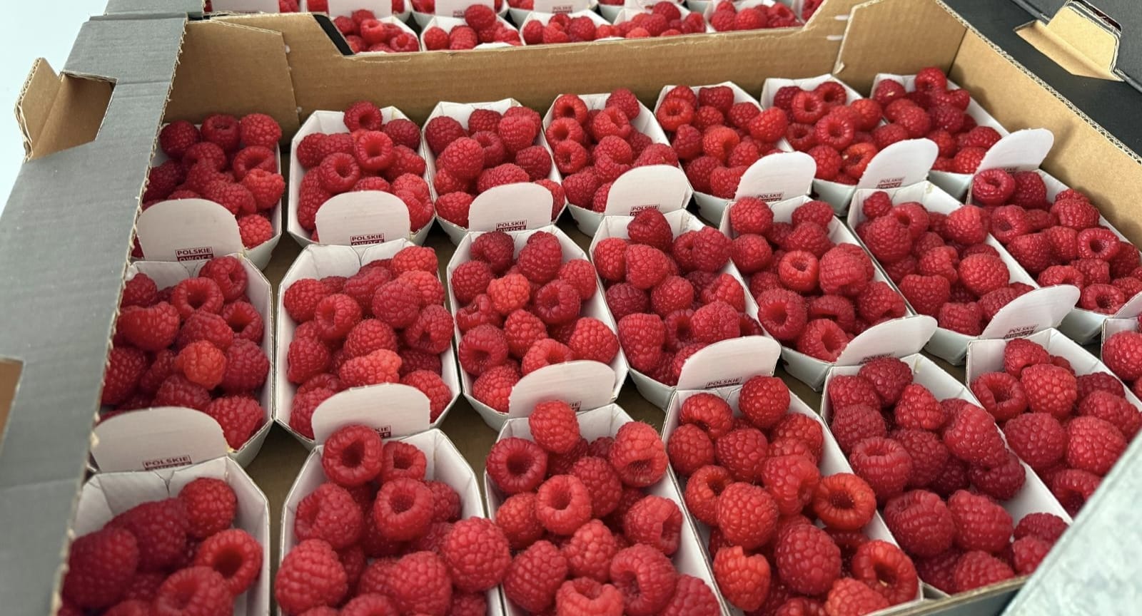 Maliny pakowane na skalę przemysłową