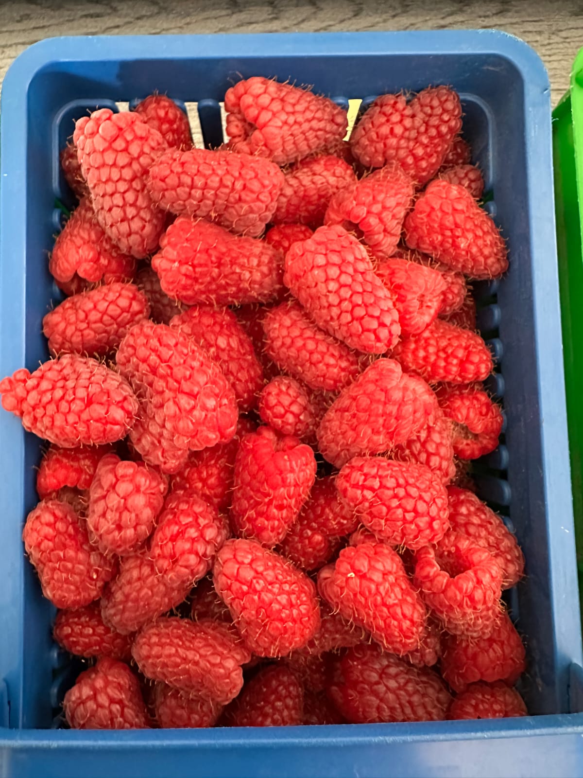 Duże, świeże maliny w pojemniku