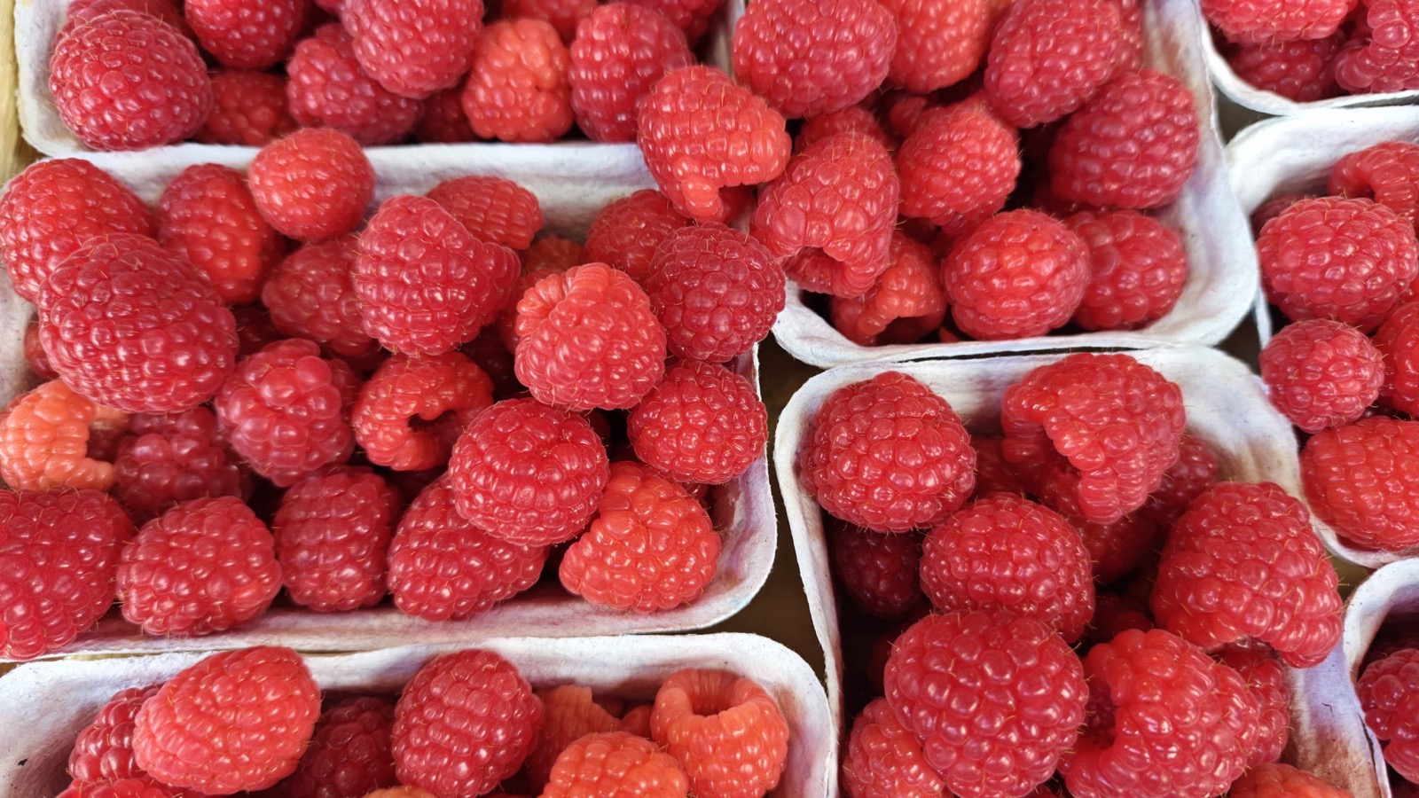 Maliny w pojemnikach detalicznych